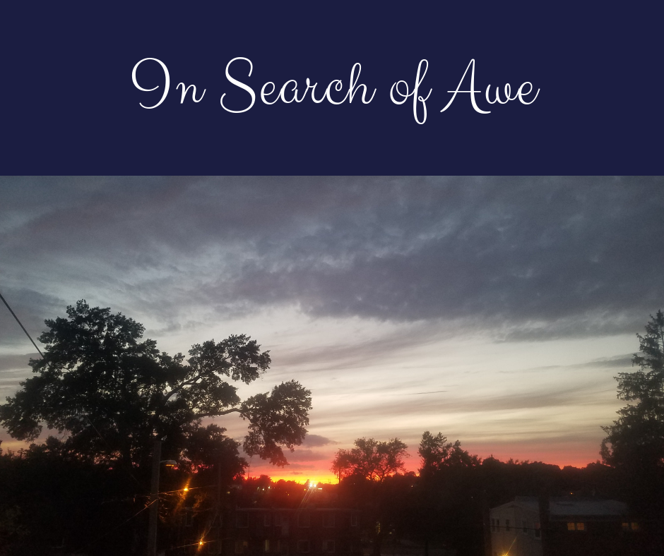 In Search of Awe